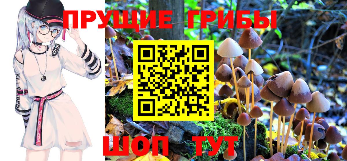 цены   Вход с VPN  Волгодонск  Галлюциногенные грибы Cubensis 
