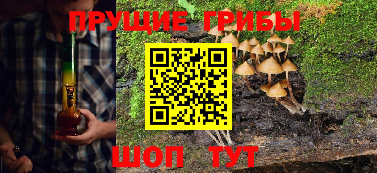 Псилоцибиновые грибы Magic Shrooms Волгодонск